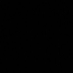 Meet your Posher, Nicolette